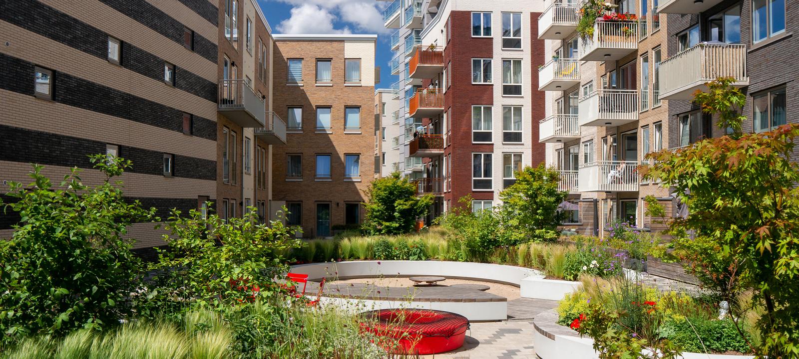 Green courtyard of a residential complex